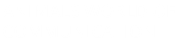 Animals World of Communication